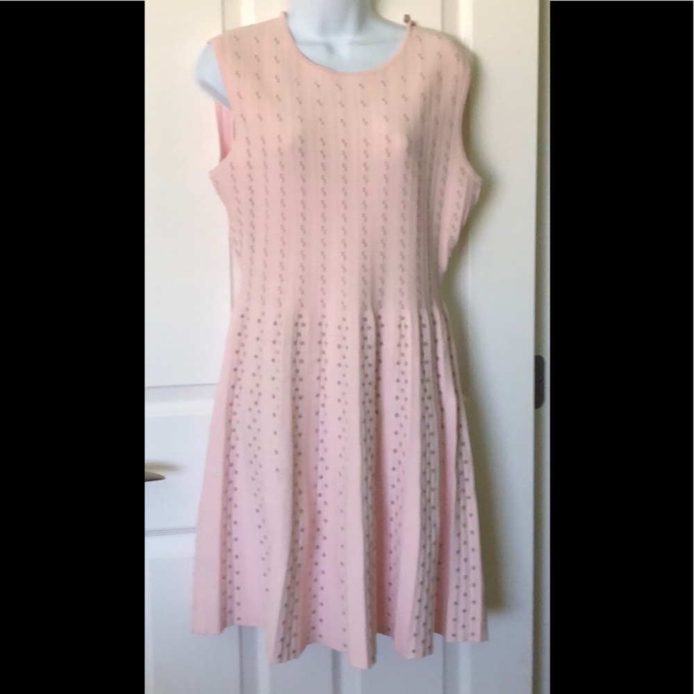Ted Baker new with tags size 3 dress light pink